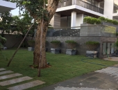 Thi công sân vườn, cung cấp cây xanh cho biệt thự tại Đà Nẵng