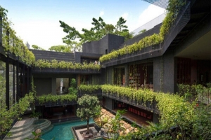 Vườn trên mái Đà Nẵng