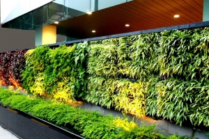 Vườn trên tường tại Đà Nẵng